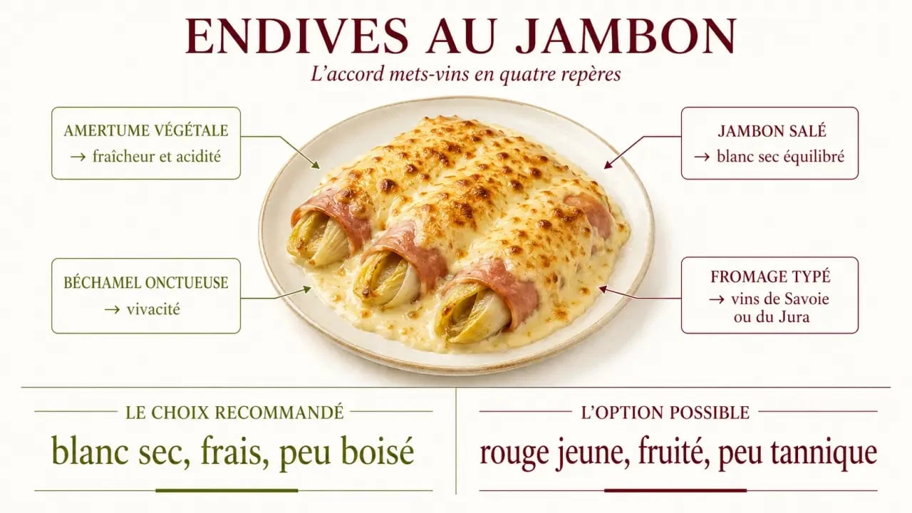 Infographie de l’accord mets vins endives au jambon entre amertume, béchamel, jambon et fraîcheur du vin