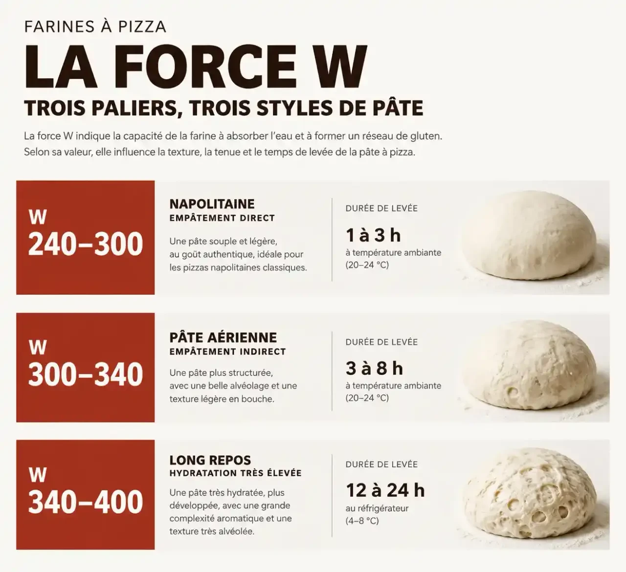 Schéma de la force W pour choisir la meilleure farine à pizza selon la durée de levée